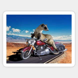 Ferret on a Motorcycle Sticker